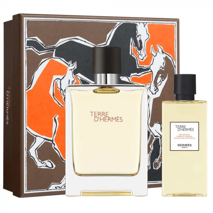 Hermes terre edt 100ml hot sale