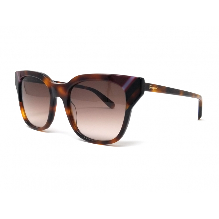 SalvatoreFerragamo菲拉格慕  Tortoise太阳镜 - SF875S