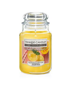 Yankee Candle 扬基 香氛蜡烛芒果柠檬 (538g)