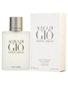 Giorgio Armani 阿玛尼 寄情男士经典版香水 100ml EDT