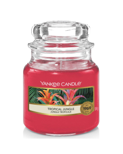 Yankee Candle 扬基 香氛蜡烛热带丛林 411g