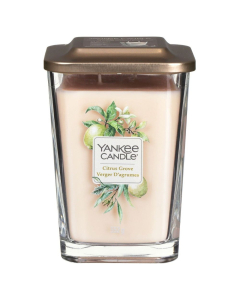 Yankee Candle 扬基 香薰蜡烛柑橘丛林 552g