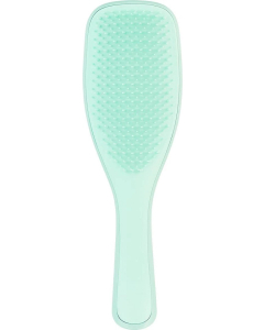 Tangle Teezer - Wet Detangling Hairbrush Jade Lagoon For Fine Colour-Treated And Distressed Hair