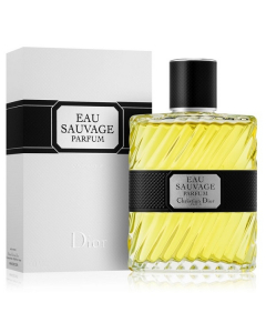 U_DIOR_3348901363488