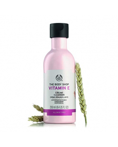 U_THEBODYSHOP_5028197520168