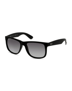 Ray-Ban - 0RB4165F