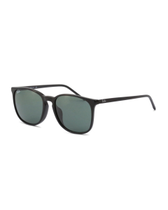 Ray-Ban - 0RB4387F