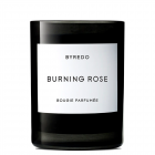 Byredo 柏芮朵 燃烧的玫瑰香氛蜡烛 240g