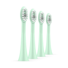 Ordo - Sonic Brush Head Mint Green Sage 4x