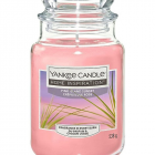  Yankee Candle 扬基 香氛蜡烛粉红岛日落 (538g)
