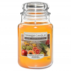 Yankee Candle 扬基 香氛蜡烛异国水果 538g