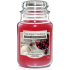 Yankee Candle 扬基 香氛蜡烛樱桃香草 538g