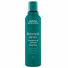 Aveda 艾梵达 植萃修护强韧洗发露 200ml