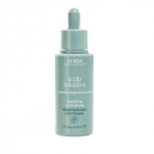 Aveda 艾梵达 头皮管理夜间馥活精华 50ml