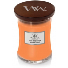 WoodWick 辣椒冰激凌中号香氛蜡烛 275g