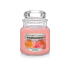 Yankee Candle 扬基 香氛蜡烛珊瑚 104g