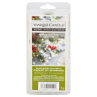 Yankee Candle 扬基 香氛蜡融辣椒松 75g