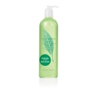 Elizabeth Arden伊丽莎白雅顿  绿茶香型沐浴露 - 500ml