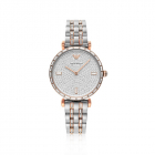 Emporio Armani 阿玛尼 满天星镶钻满钻轻奢女士石英表 - AR11293
