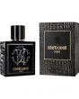 Roberto Cavalli 罗伯特·卡沃利 男士香水 EDT - 100ml