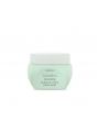 U_AVEDA_018084021675