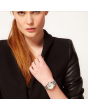 安普里奥 阿玛尼 Emporio Armani Ladies 'Franco' Watch 女士 手表 - Silver and Gold